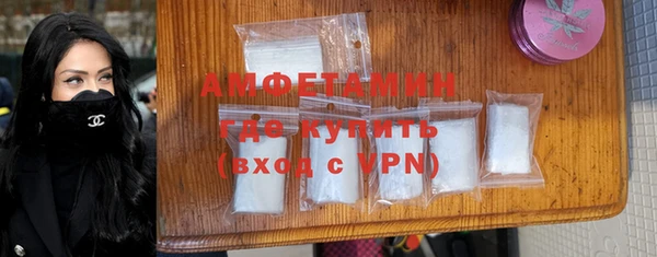 индика Балабаново