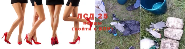 индика Балабаново