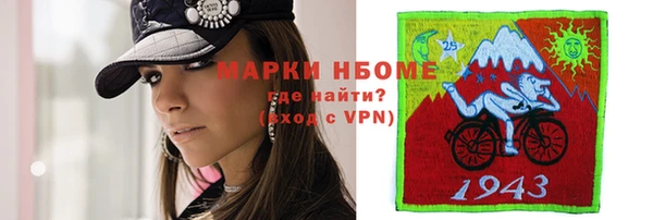 индика Балабаново