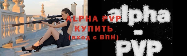индика Балабаново