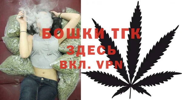 индика Балабаново