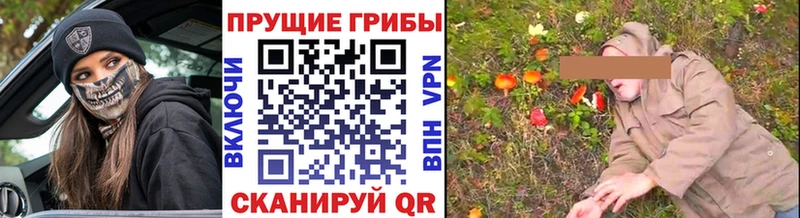 Галлюциногенные грибы Psilocybine cubensis  где можно купить   blacksprut сайт  Пересвет 
